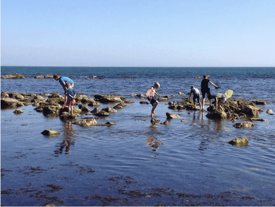 People fishing in shallow water